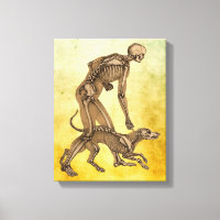 esqueleto, homem e anatomia humana de cães