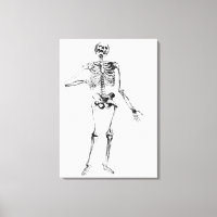 Esqueleto humano