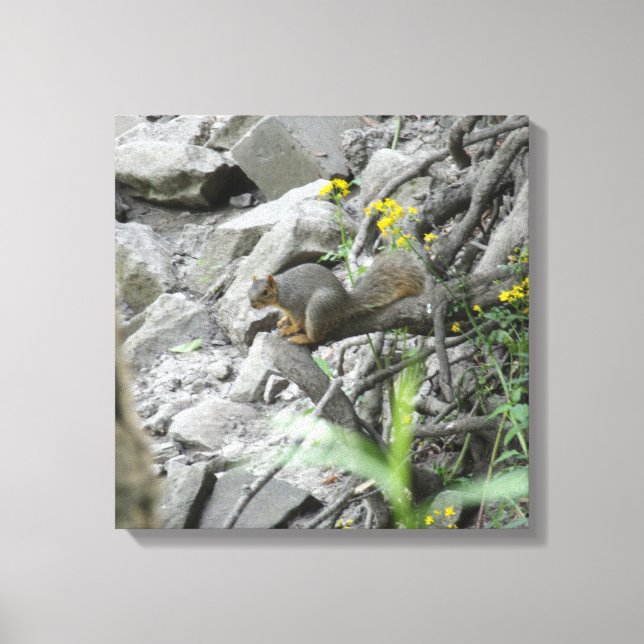 Impressão Em Tela Esquilo ao longo de um banco de riacho (Frente)