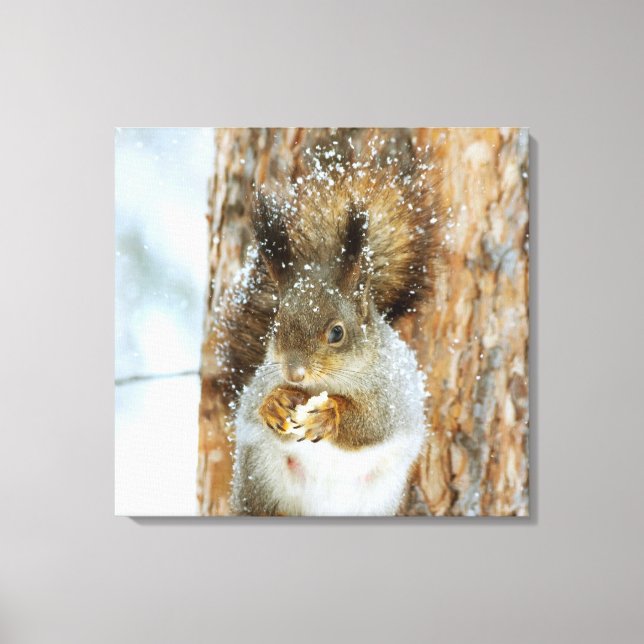 Impressão Em Tela Esquilo bonito numa paisagem de inverno (Frente)