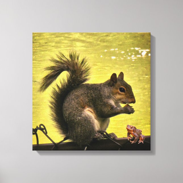 Impressão Em Tela Esquilo cinzento oriental (Sciurus carolinensis)  (Frente)