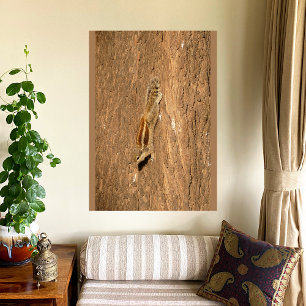 Impressão Em Tela Esquilo de Palma Indiano num tronco de Árvore