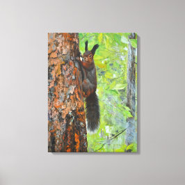 Impressão Em Tela Esquilo no Pinheiro – Pintura a Óleo Realista