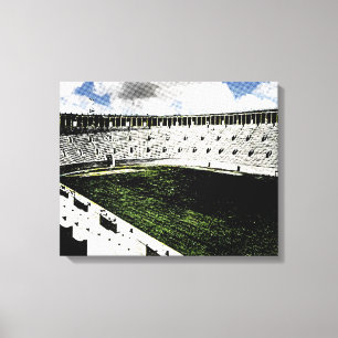 Impressão Em Tela Estádio Harvard