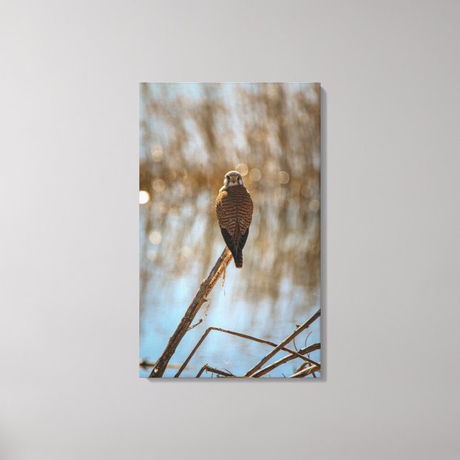 Impressão Em Tela Estás a olhar para mim? (Frente)