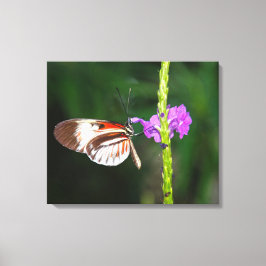 Impressão em Tela Esticada