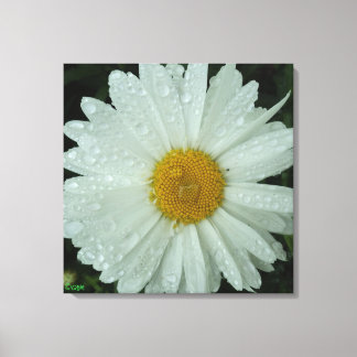 Impressão em Tela Esticada Daisy Dream