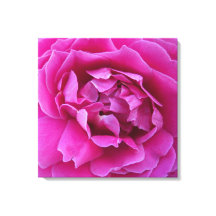 Impressão em Tela Esticada de Rosa Cobçada