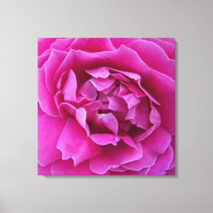 Impressão em Tela Esticada de Rosa Cobçada