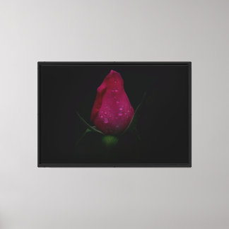 Impressão em Tela Esticada de Rosa Rosa