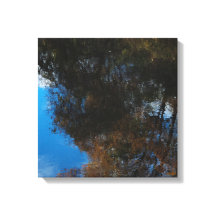 Impressão em Tela Esticada Reflexo da Água das Árv