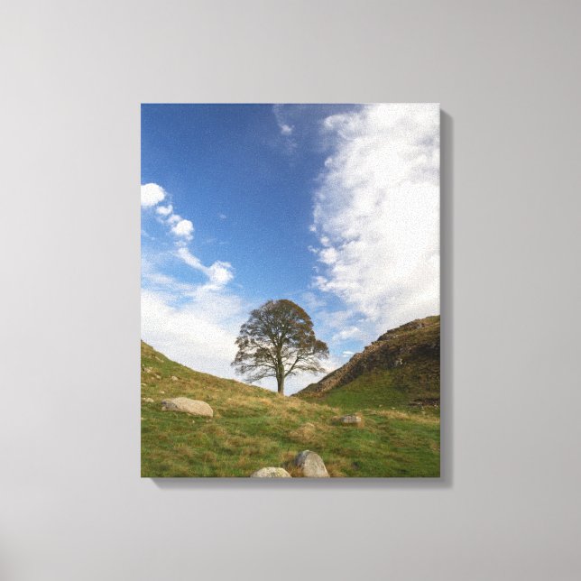 Impressão em Tela Esticada Sycamore Gap (Frente)