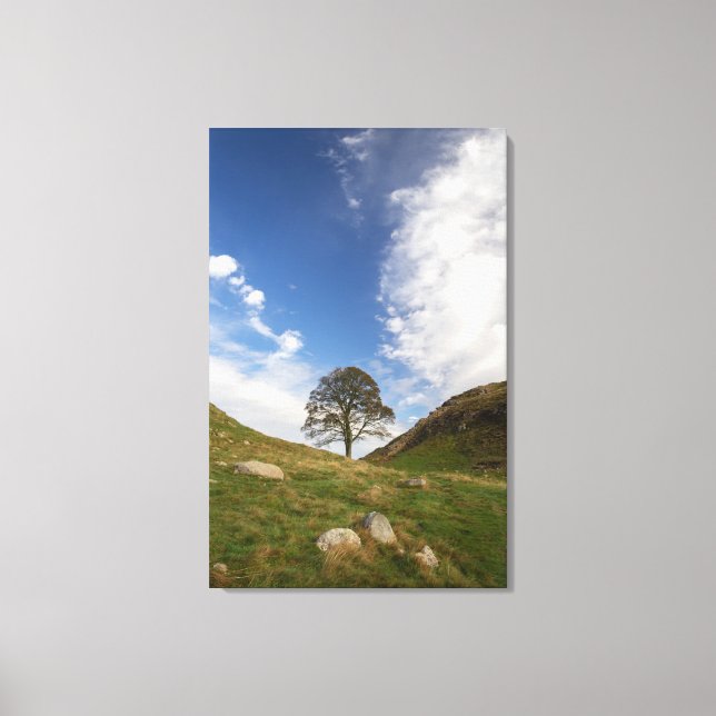 Impressão em Tela Esticada Sycamore Gap (Frente)