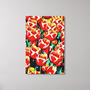 Impressão em tela esticada tulipas 