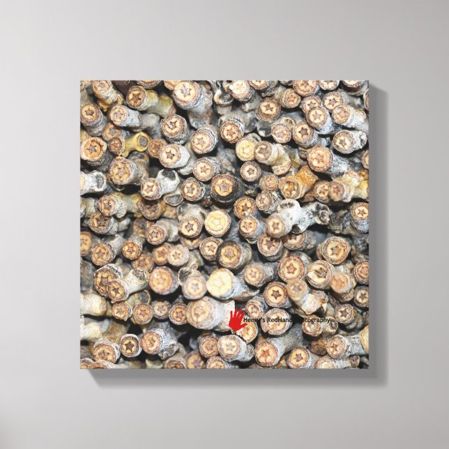 Impressão Em Tela Estrelas ao longo do Rio Grande Cotton Wood Trees  (Frente)