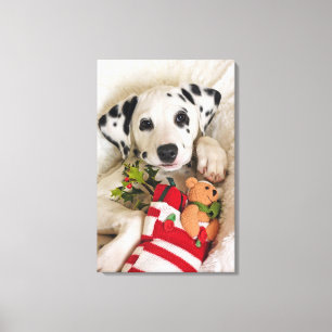 Impressão Em Tela estúdio