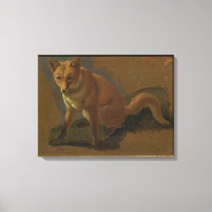 Impressão Em Tela Estudo de uma raposa (óleo no painel)