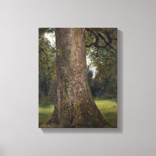 Impressão Em Tela Estudo do tronco de uma árvore de olmo, c.1821