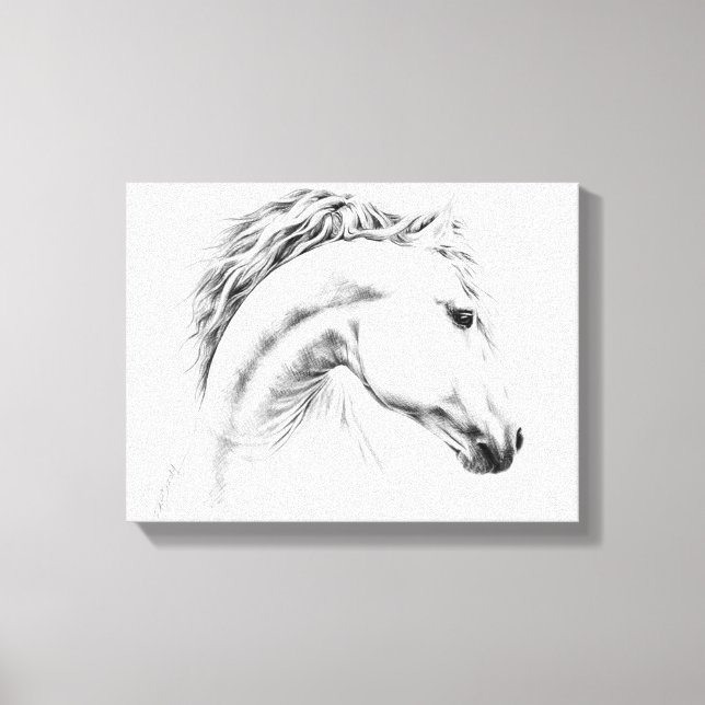 Impressão Em Tela Estudo-retrato de cavalos desenhando arte equestre (Frente)