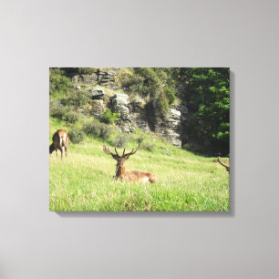 Impressão Em Tela Etiquetas da Nova Zelândia