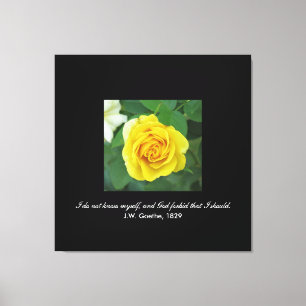 Impressão Em Tela Eu não me conheço. . . (Goethe)