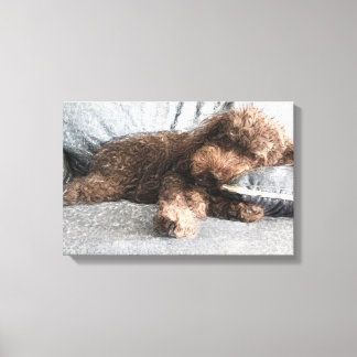 Impressão Em Tela Eu ❤️ Naps Poodle