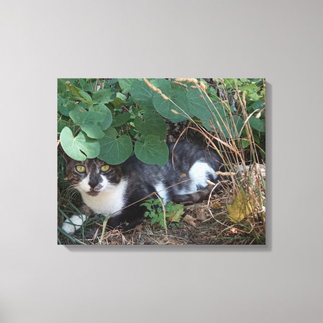 Impressão Em Tela Eu sou o gato invisível (Frente)
