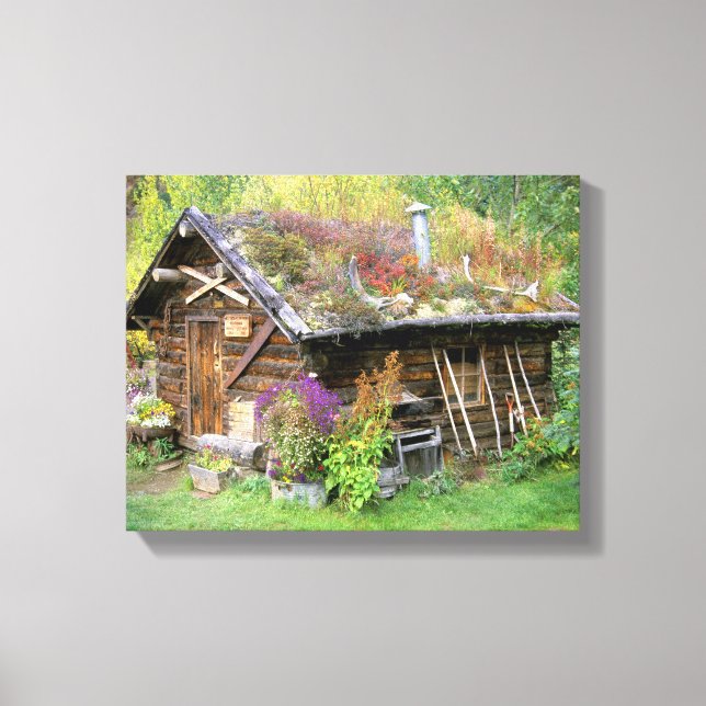 Impressão Em Tela EUA, Alasca, Parque Nacional Denali, Kantishna. (Frente)