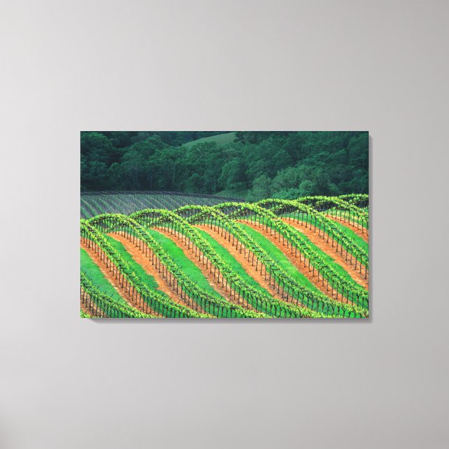 Impressão Em Tela EUA, Califórnia, condado de Mendocino, um (Frente)