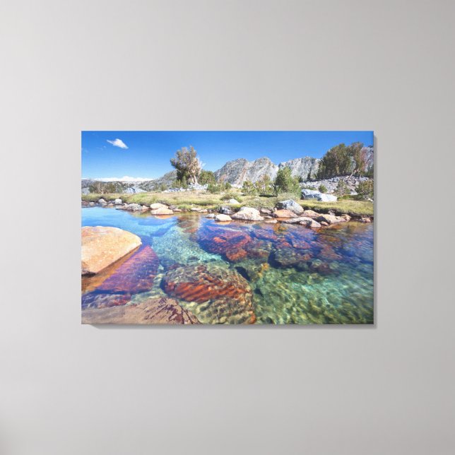 Impressão Em Tela EUA, Califórnia, Floresta Nacional Inyo 4 (Frente)