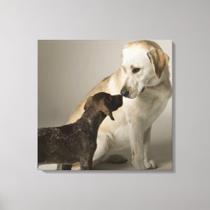 Impressão Em Tela EUA, Califórnia, San Francisco