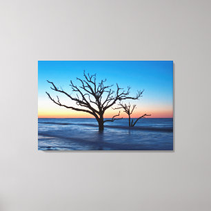 Impressão Em Tela EUA, Carolina do Sul, Ilha Edisto, Botany Bay