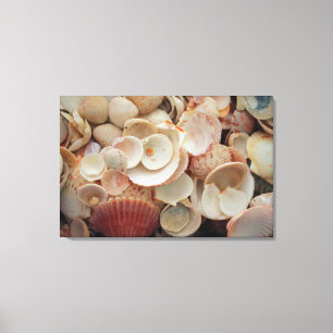 Impressão Em Tela EUA, Florida. Feche As Conchas No Papai noel Rosa