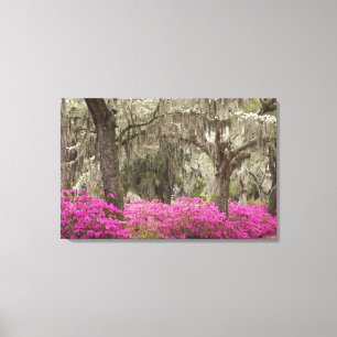 Impressão Em Tela EUA, Geórgia, Savannah, Primavera no Histórico