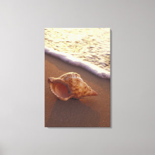 Impressão Em Tela EUA, Havaí, Maui, Kihei, Luz da noite sobre