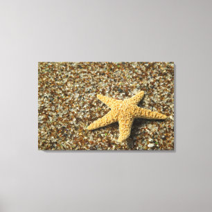 Impressão Em Tela EUA, HI, Kauai, praia de vidro com peixes da