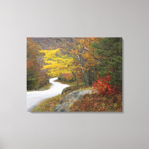 Impressão Em Tela EUA, Maine, Camden. Estrada que atravessa Camden