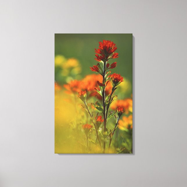 Impressão Em Tela EUA, Michigan, Ilha Drummond, Maxton Plains, (Frente)