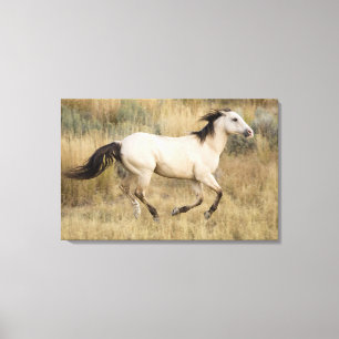 Impressão Em Tela EUA, Oregon, Seneca, Ponderosa Ranch. Cavalo