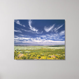 Impressão Em Tela EUA, Oregon, Steens Mountain. Primavera burgeons