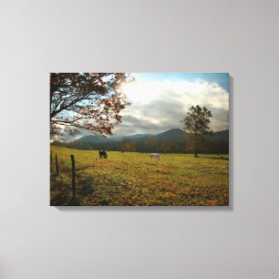 Impressão Em Tela EUA, Tennessee. Cavalos Em Cades Cove Valley