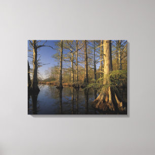 Impressão Em Tela EUA, Tennessee. Reelfoot National Wildlife