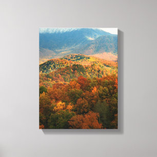 Impressão Em Tela EUA, Tennessee. Vista do Monte Leconte nevado