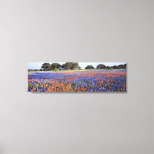 Impressão Em Tela EUA, Texas, Llano. Bluebonnets e redbonnets