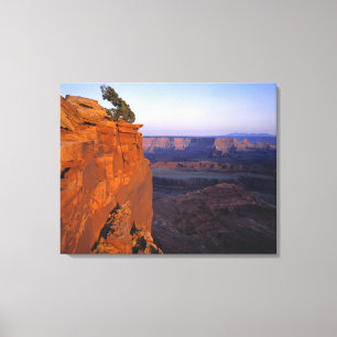 Impressão Em Tela EUA, Utah, Dead Horse Point SP. Luz tardia vira