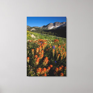 Impressão Em Tela EUA, Utah, Floresta Nacional Uinta-Wasatch-Cache