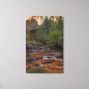 Impressão Em Tela EUA, Utah, Parque Nacional Zion. Cênico a partir
