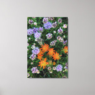 Impressão Em Tela EUA, Utah, Uinta-Wasatch-Cache National Forest 3