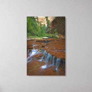 Impressão Em Tela EUA, Utah, Zion National Park. Scenic de 2