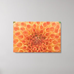 Impressão Em Tela EUA, Washington, Bellevue, Bellevue Botânico 3